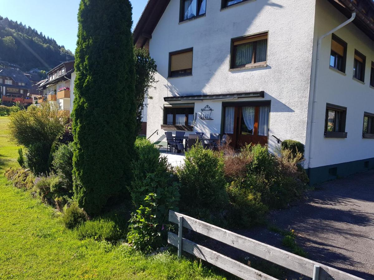 Am Wehrastrand App Eg Todtmoos Extérieur photo